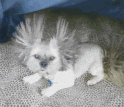 冬季10大酷刑,冬天的几大酷刑