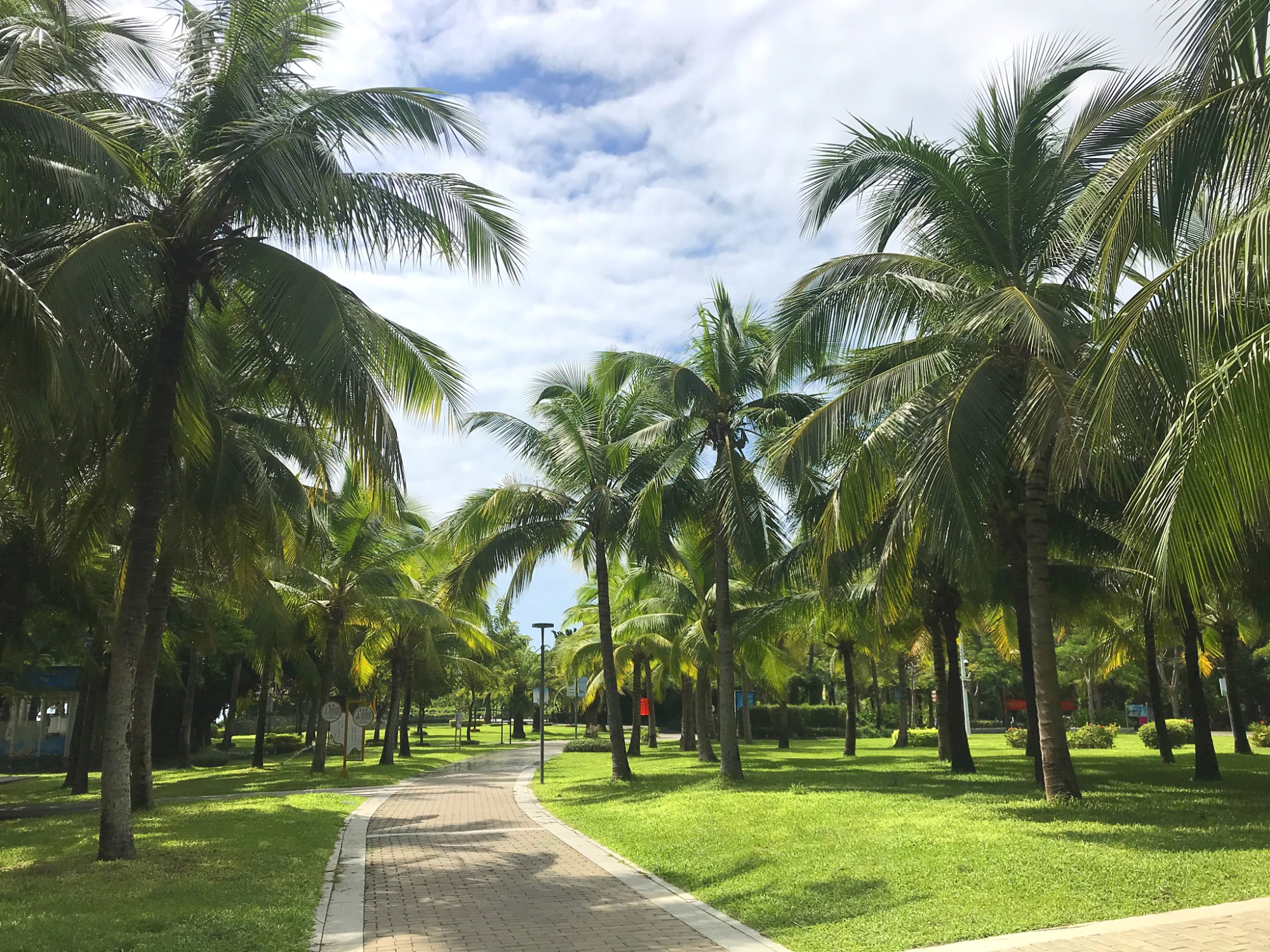 再次遇到鸡腿姑娘,偶遇鸡腿姑娘