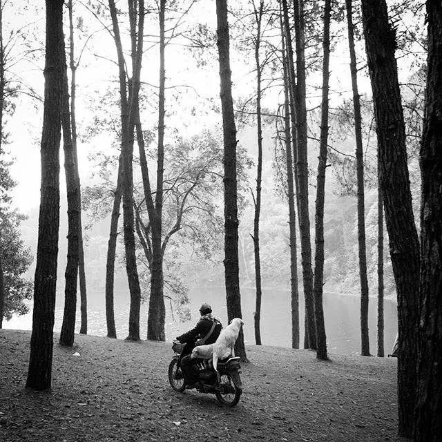 这些泰国明星的隐藏技能比专业厉害！好看皮囊和有趣灵魂真能共体