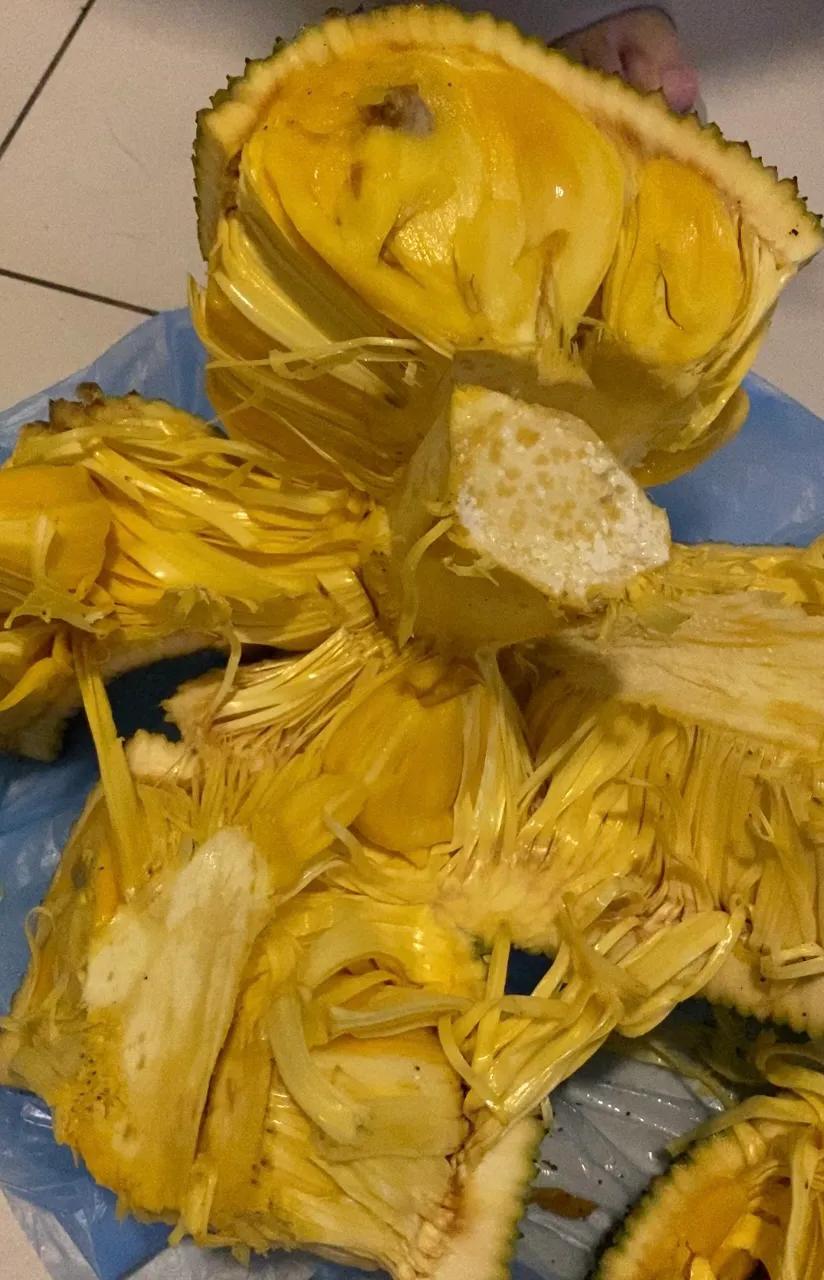 海南菠萝蜜正确打开方法,越南菠萝蜜怎么打开