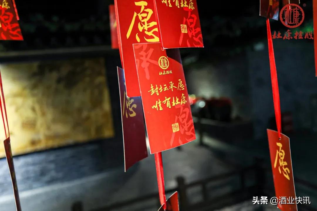 酒祖杜康封坛大典视频,杜康封坛大典为什么吸引人