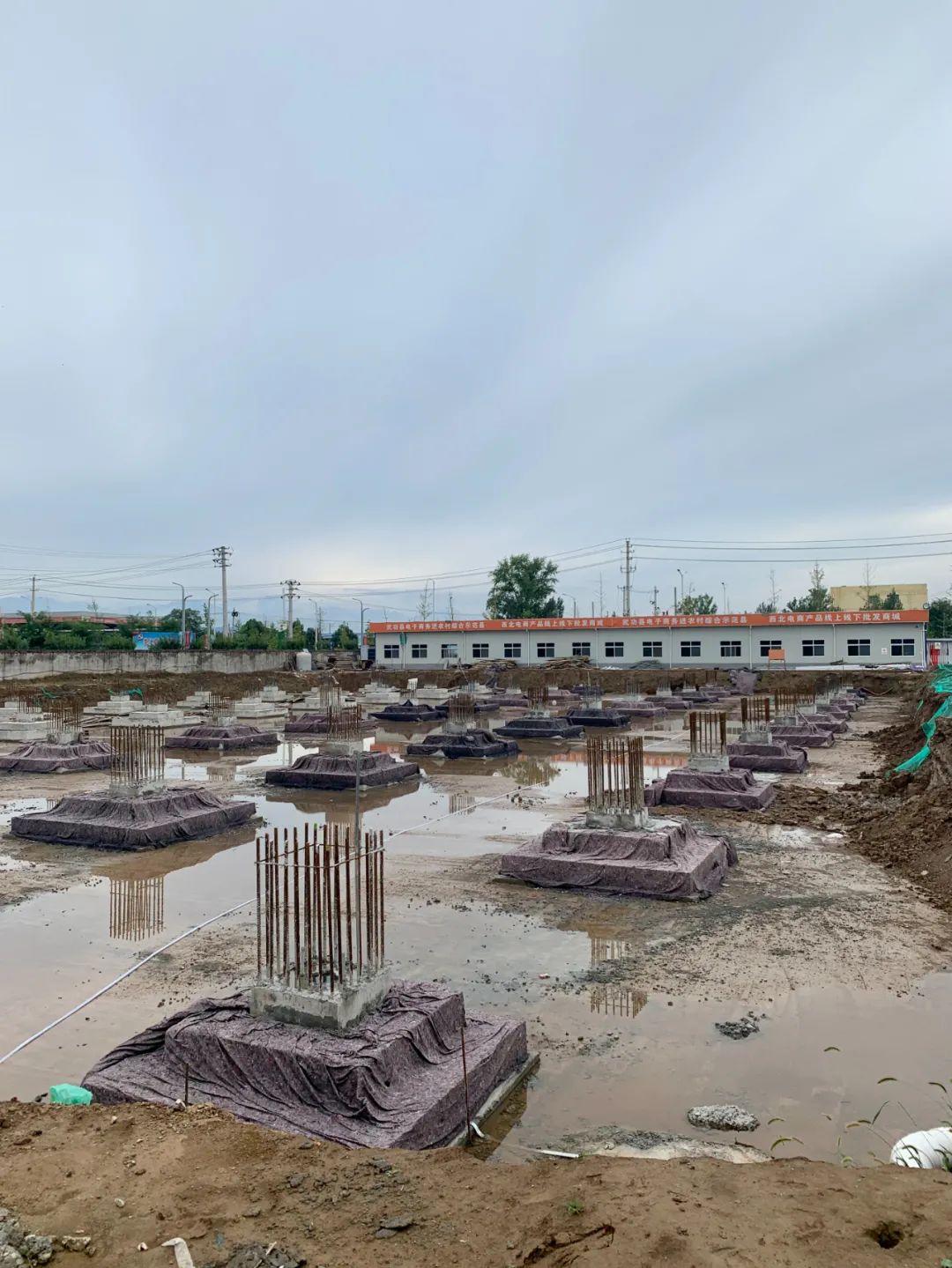 新疆农产品电商推介,新疆特点农产品杭州新电商启动