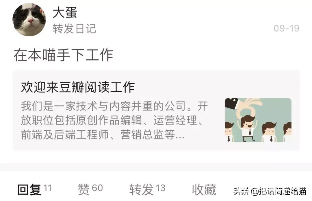 猫故事全集,猫故事小说