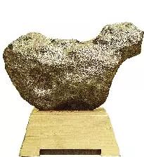 陨石2019年陨石展,第三大火星陨石拍卖80万美元