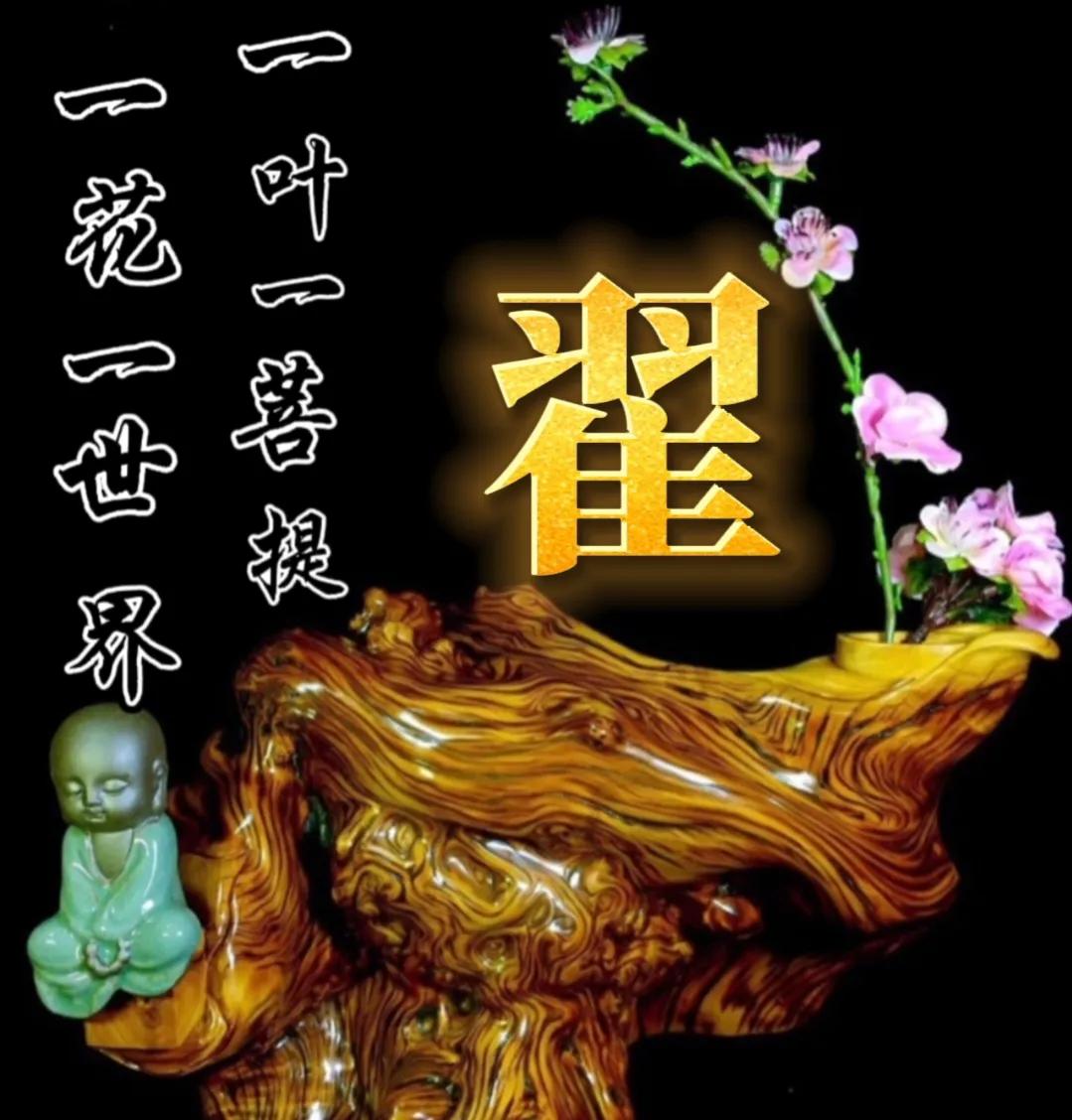 一花一世界一叶一菩提头像,一叶一菩提禅意微信头像