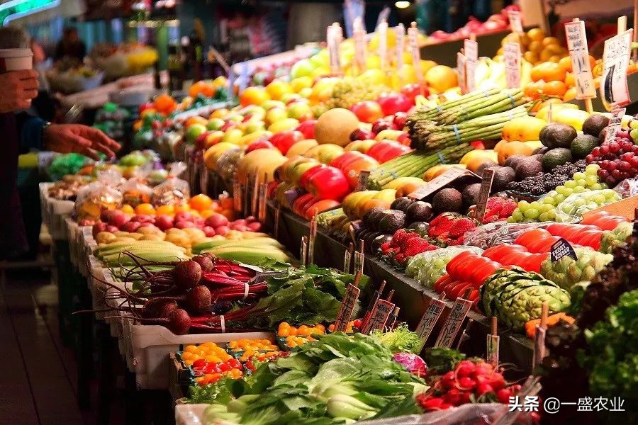 潜藏在农村的商机,隐藏于农村的冷门致富项目