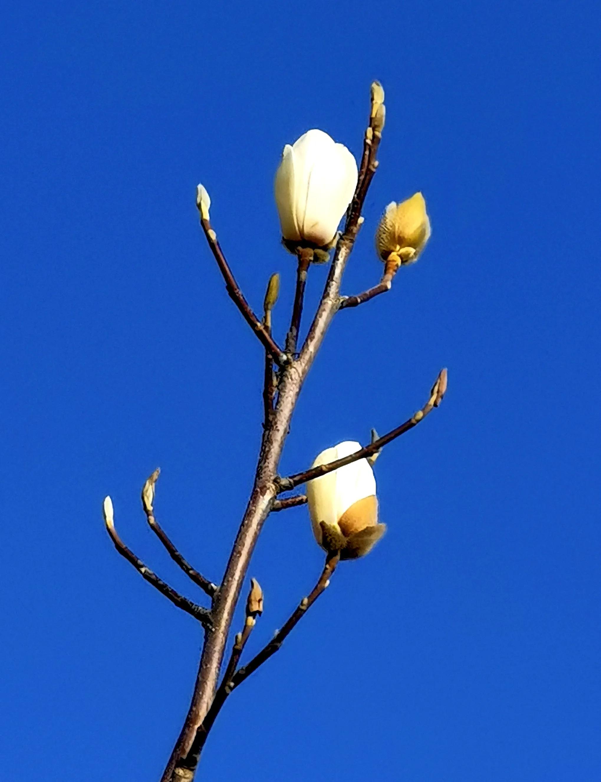 *访上**不当也会违法的（详解）