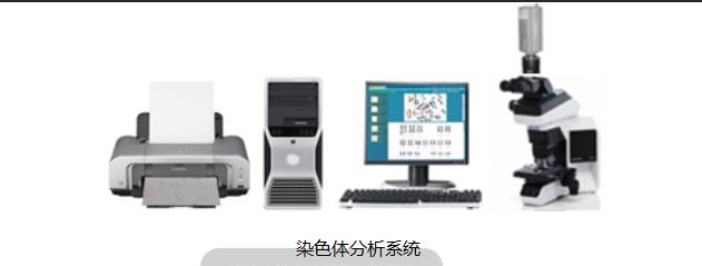 备孕初期检查项目及时间表,春季备孕检查多少钱