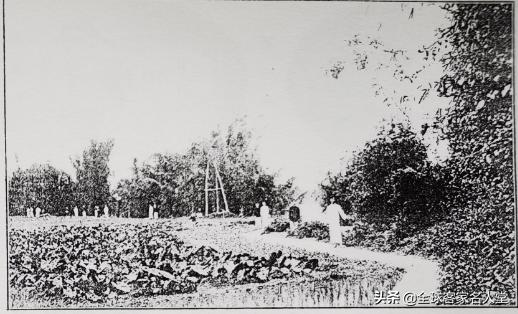 东山中学剑英校区地图,梅县东山中学剑英校区