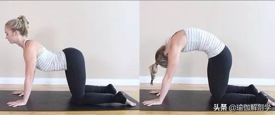 给大家推荐一套瑜伽练习序列,最适合瑜伽初学者练的50个体式