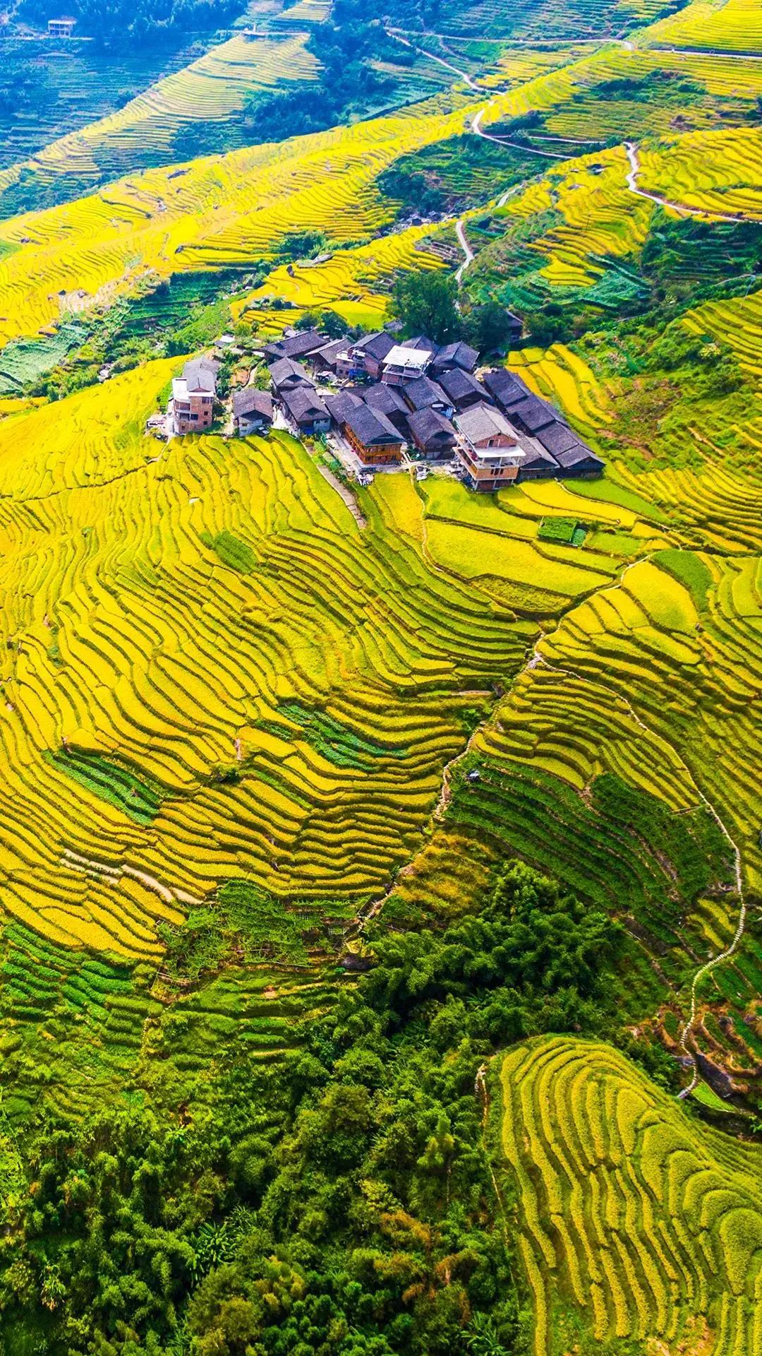 被烧之前的云南翁丁原始部落,我国最古老的村庄被烧毁