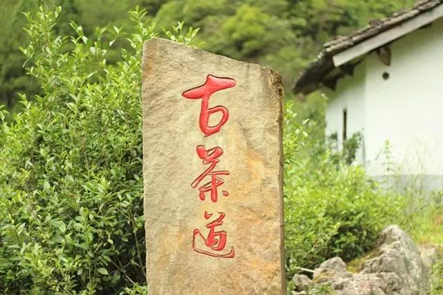 一文读懂安化黑茶,哪种茶叶的回甘效果最好