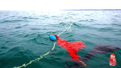 涠洲岛游玩景区,涠洲岛火山在哪里
