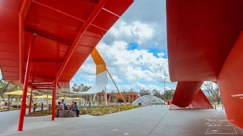 澳洲｜春意堪培拉，看袋鼠、品酒、赏花、住进动物的家