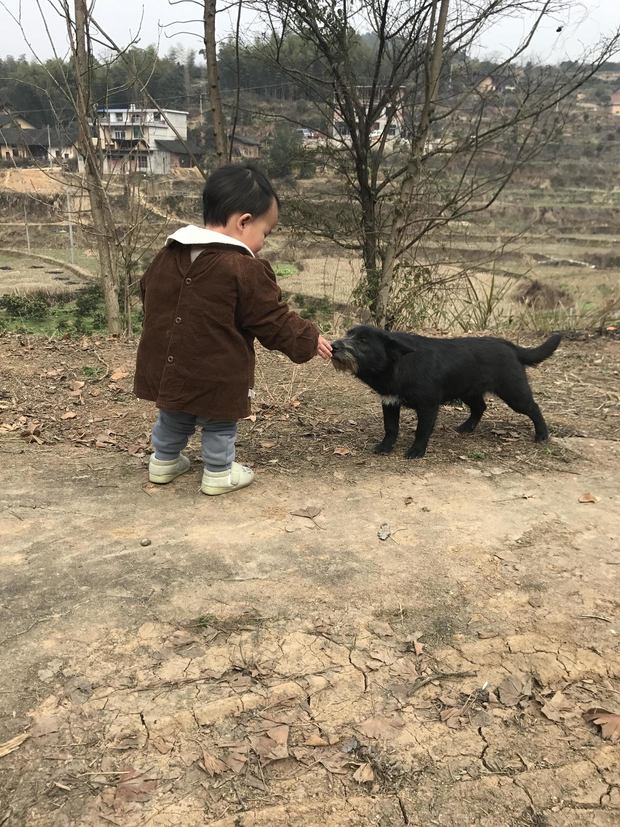 重温下儿时记忆的年味儿,记忆中的年味画面