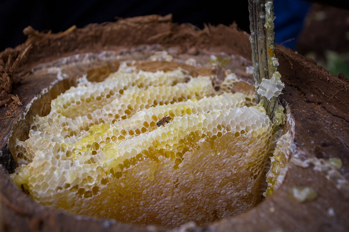 咳嗽不好有什么办法可以治,小孩咳嗽老不好有什么办法能治好