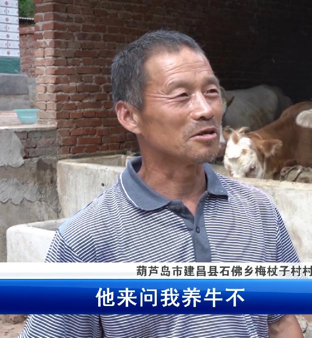 走向我们的小康社会,脱贫致富的小康生活