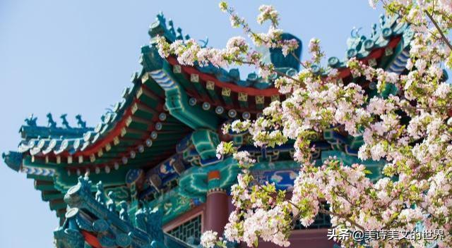 白居易写诗吐槽上班,白居易嫌工作太累