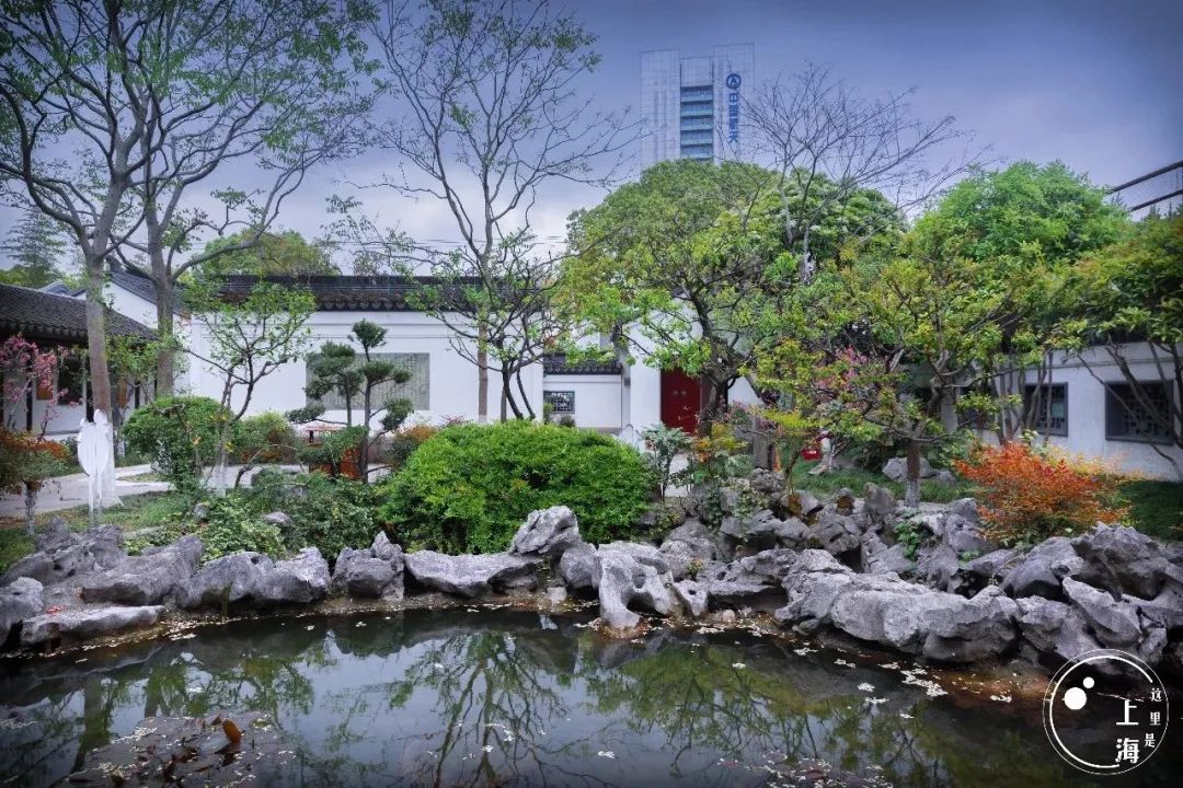 上海一日游古镇最佳路线免费景点,上海晚上十大必去免费景点