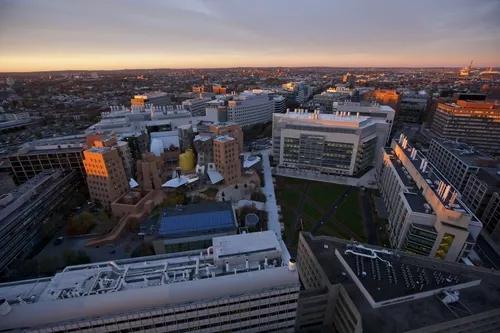 乐训星空：藤校不足0.5%的录取率说明了什么？