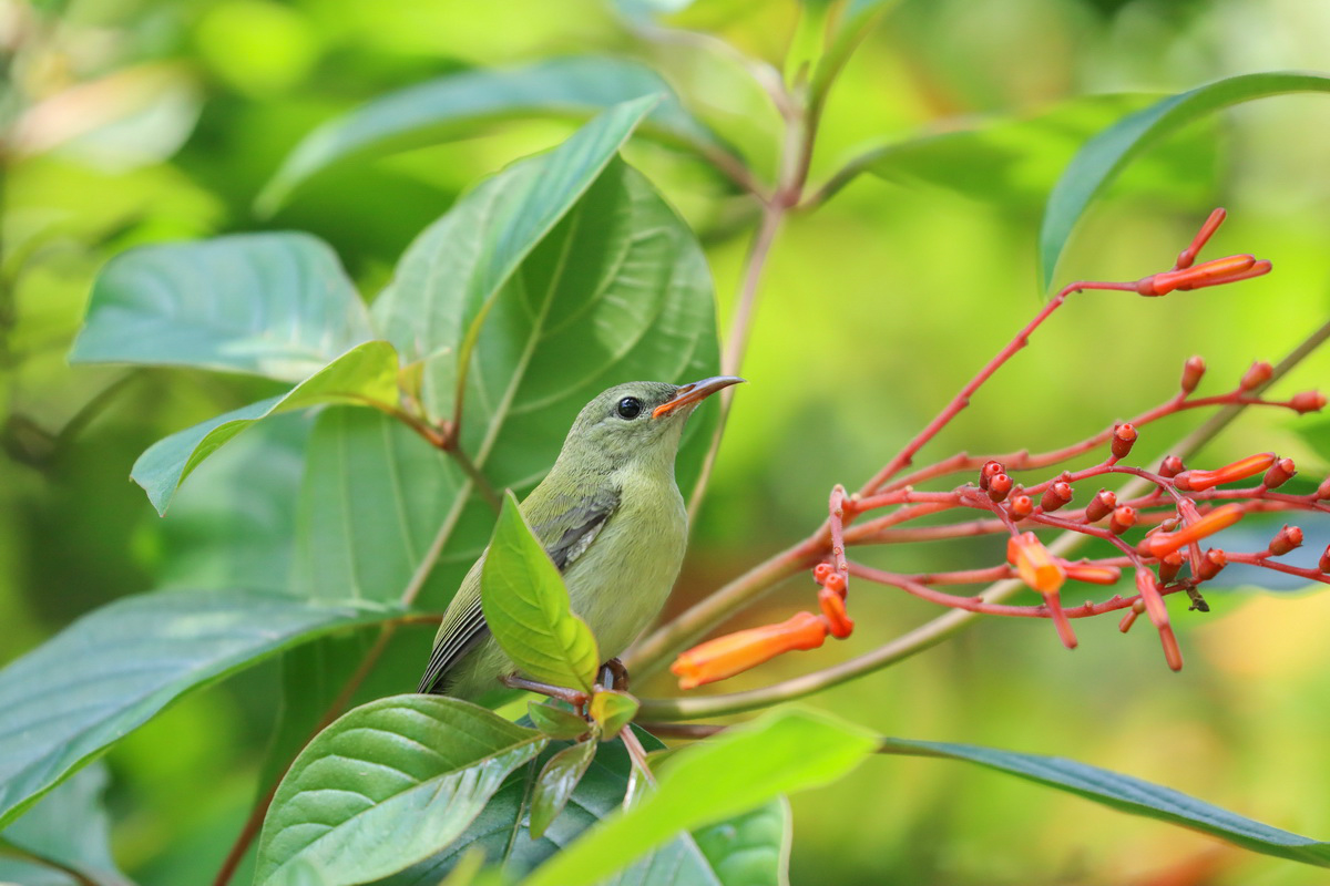 佳能eos90d适合拍产品么,佳能eos90d拍摄效果