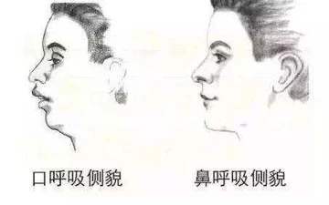 打呼噜、口呼吸、咬嘴唇都会影响颜值？这档节目可不止这些宝藏