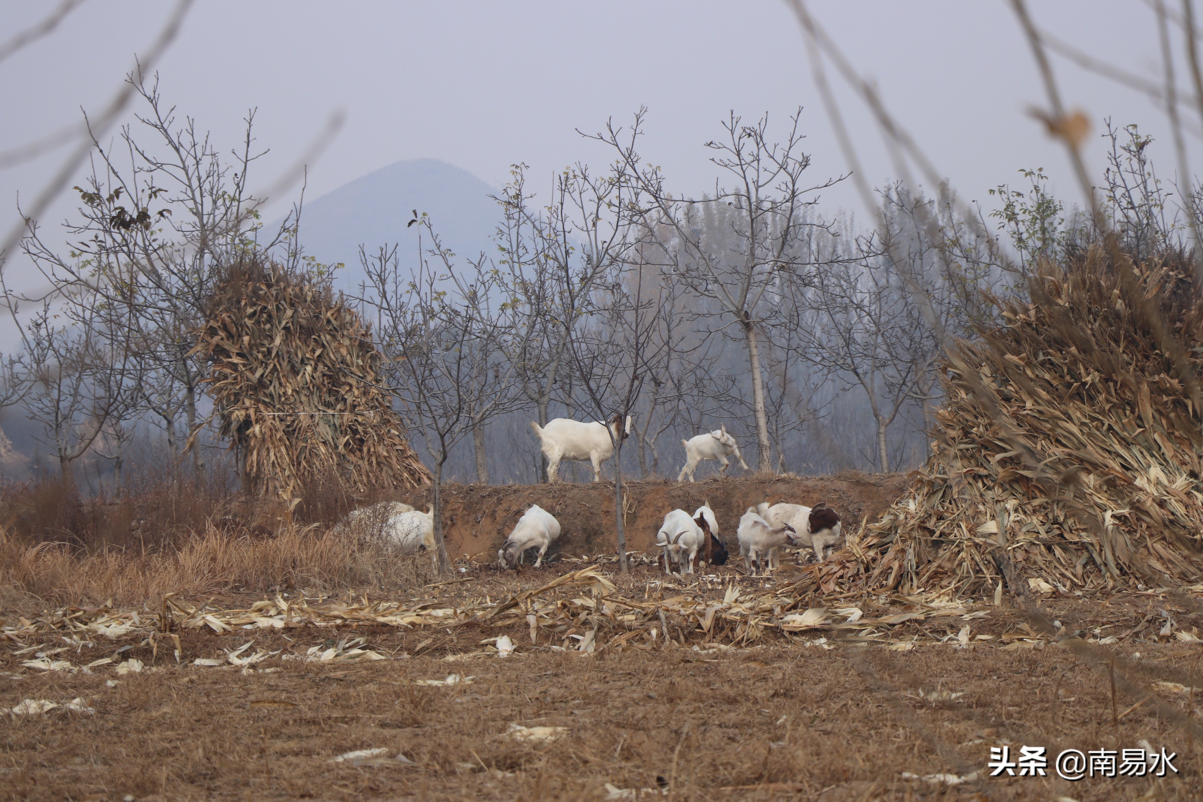家乡风景带你一起感受自然的味道,令你难以忘怀的家乡的味道