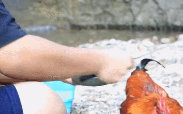 我发现现在这*子骗**真是邪门，卖个鱼钩还能想出来这么多种骗法……