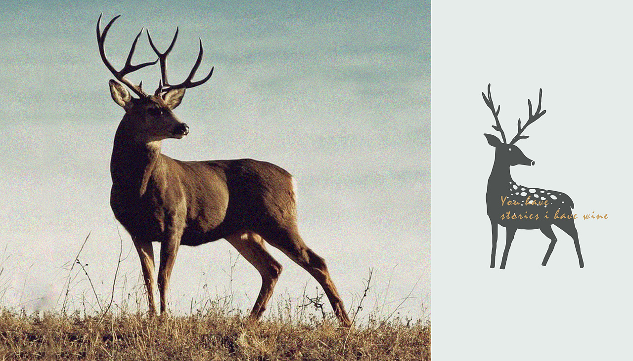 有情调的氛围餐厅,比较有情调的小资餐厅