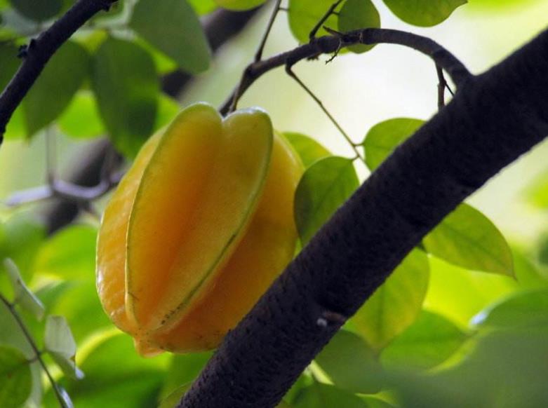 为人处世记住这五大忠告,老人言做人八大忌