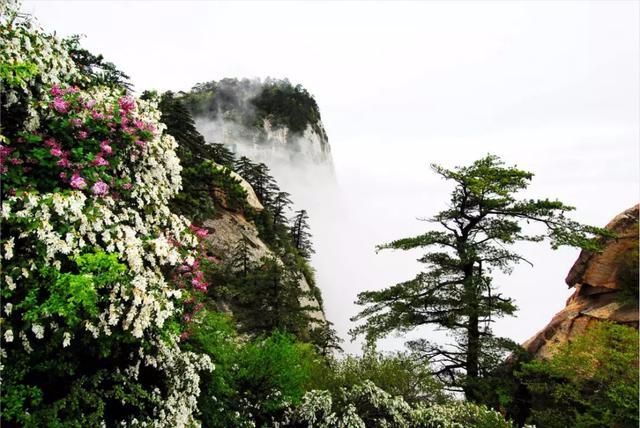 华山景区的旅游旺季和淡季,关于华山景区国庆节节假期的通知