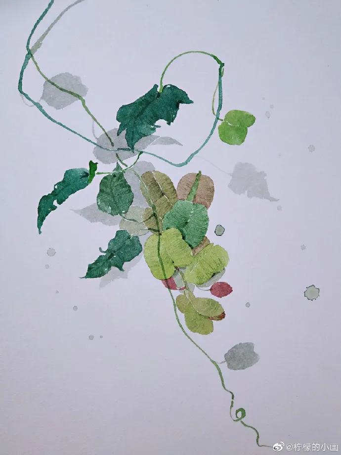 分享一组好看的小清新水彩插画,不来看看简单水彩小插画的教程吗