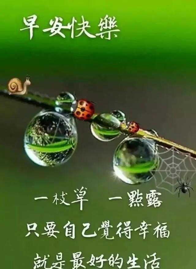 放下过去的一切早上好,放下过往的一切早上好