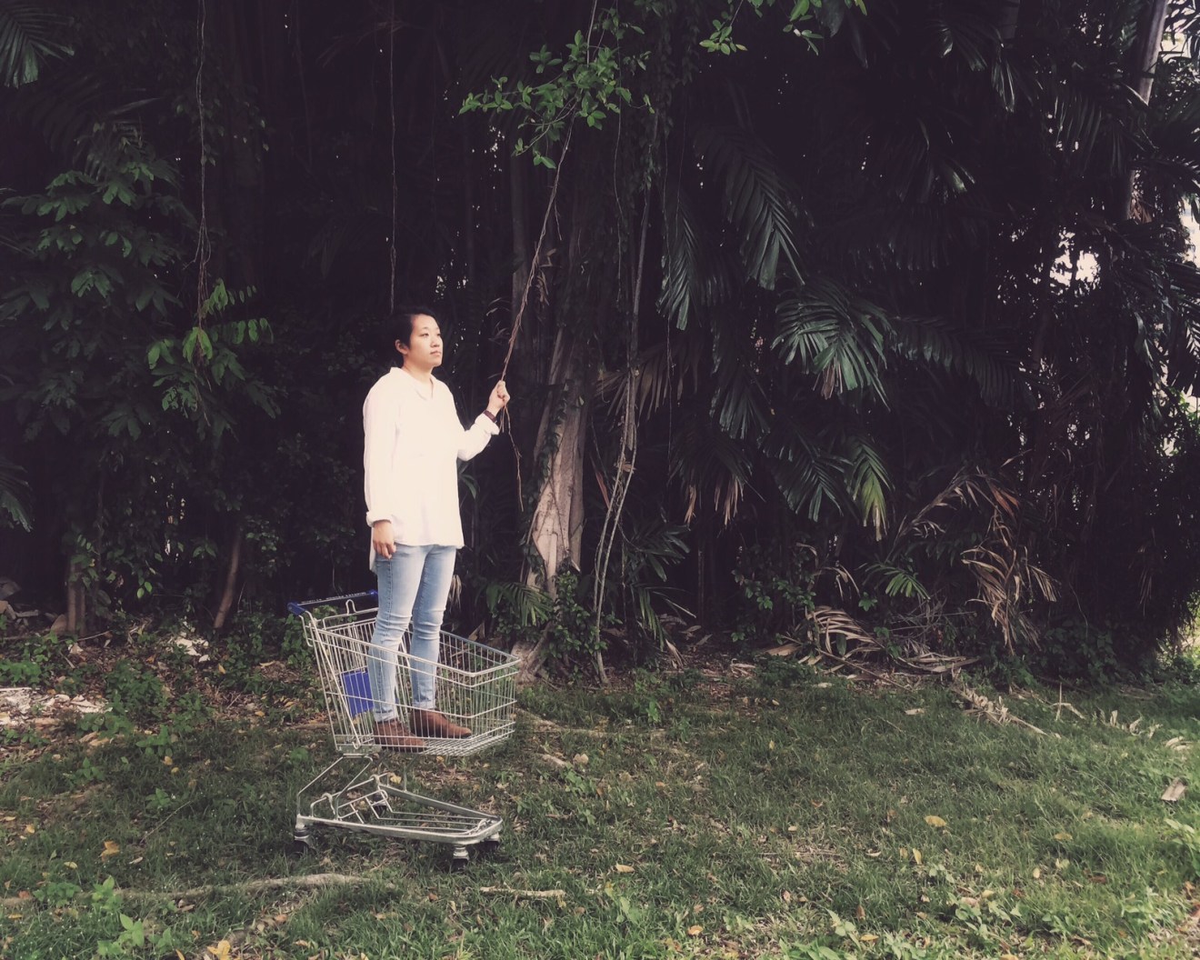 一条公路，一人一象，《亲爱的大笨象》更是在告别过去