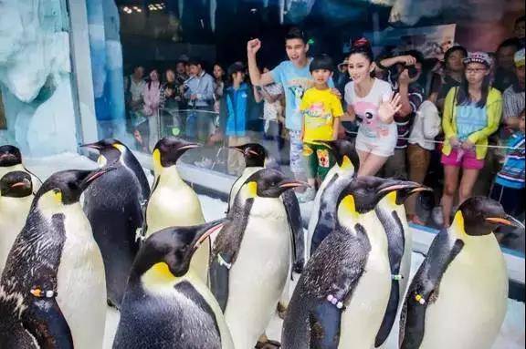 游玩珠海长隆海洋王国住企鹅酒店,珠海长隆旅游民宿推荐