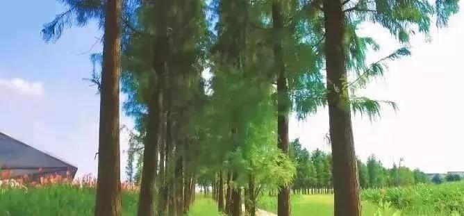 珠海好玩的户外运动,珠海玩极限运动去哪里