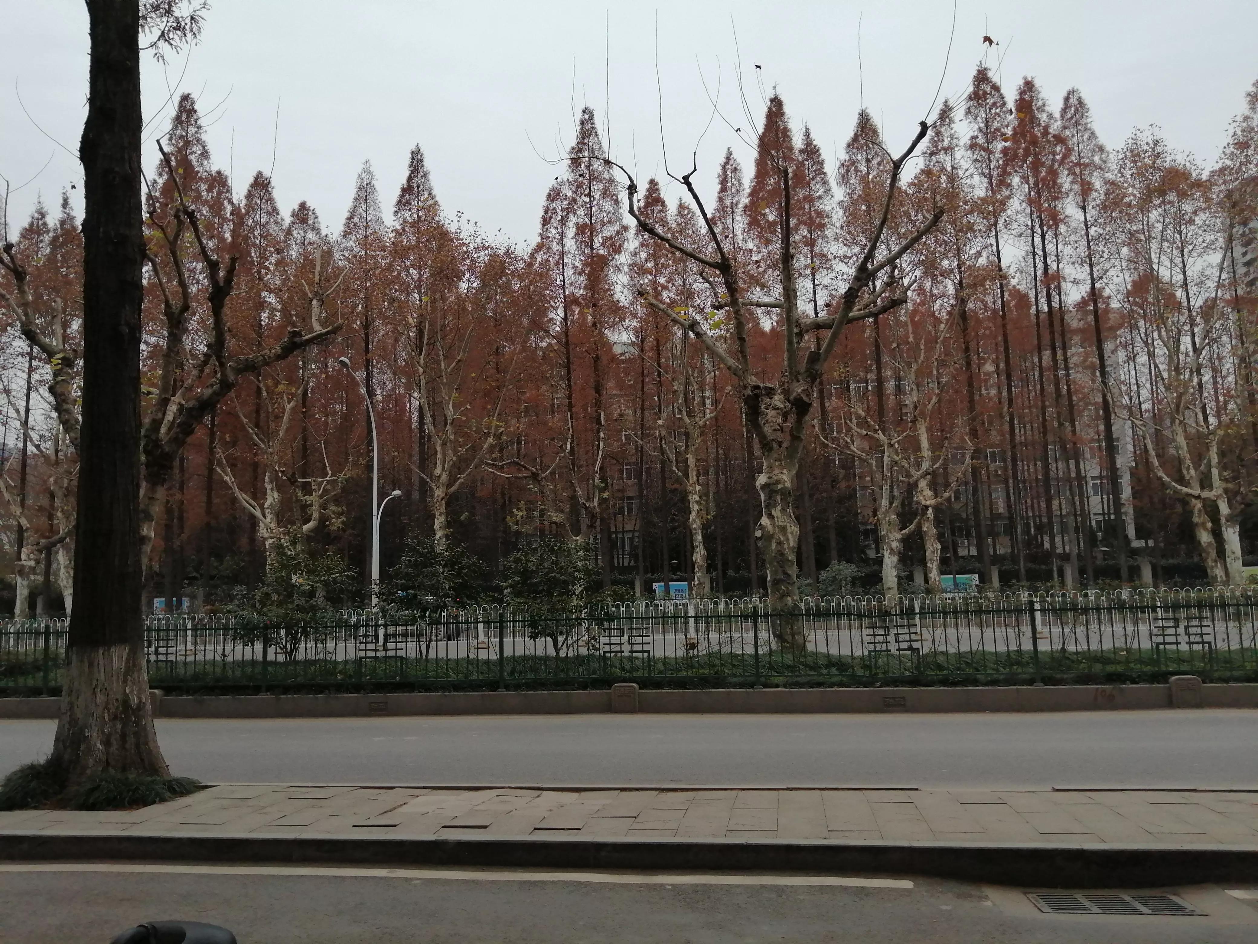 两句歌词接龙，您能猜出来吗？蛇出现两边指引，多找一撇自己寻…