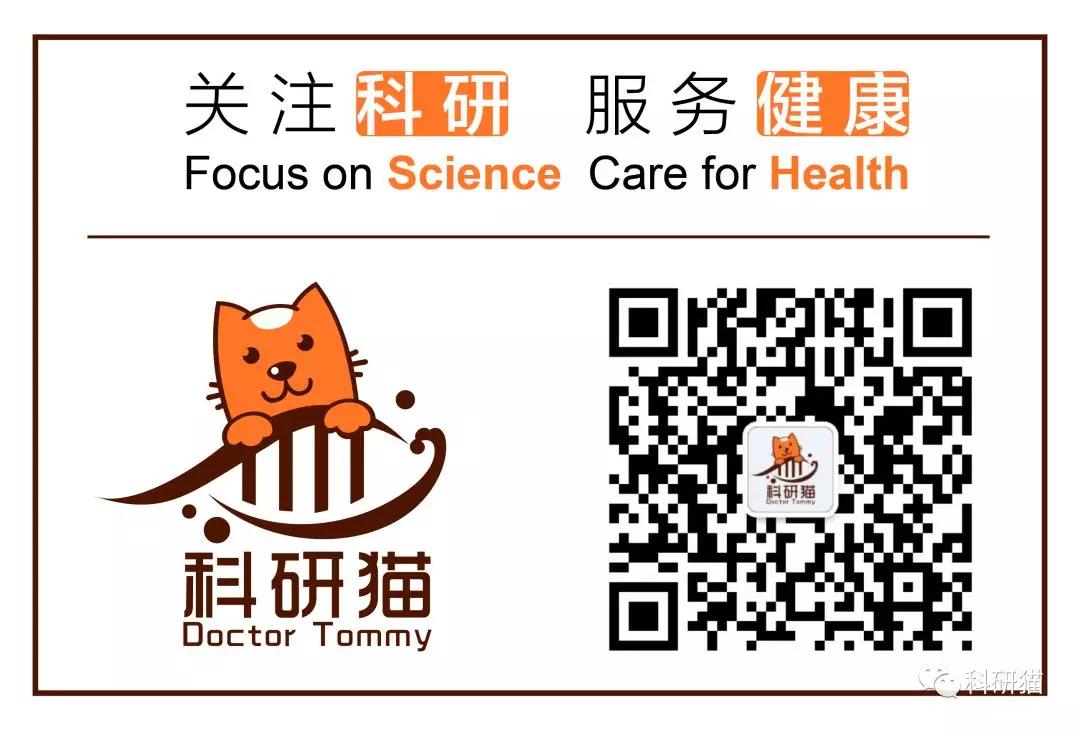 科研猫图片,科研猫