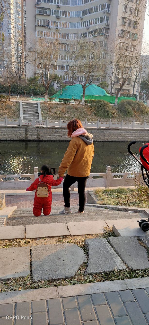 散文女人的一生,散文女人的优雅全文