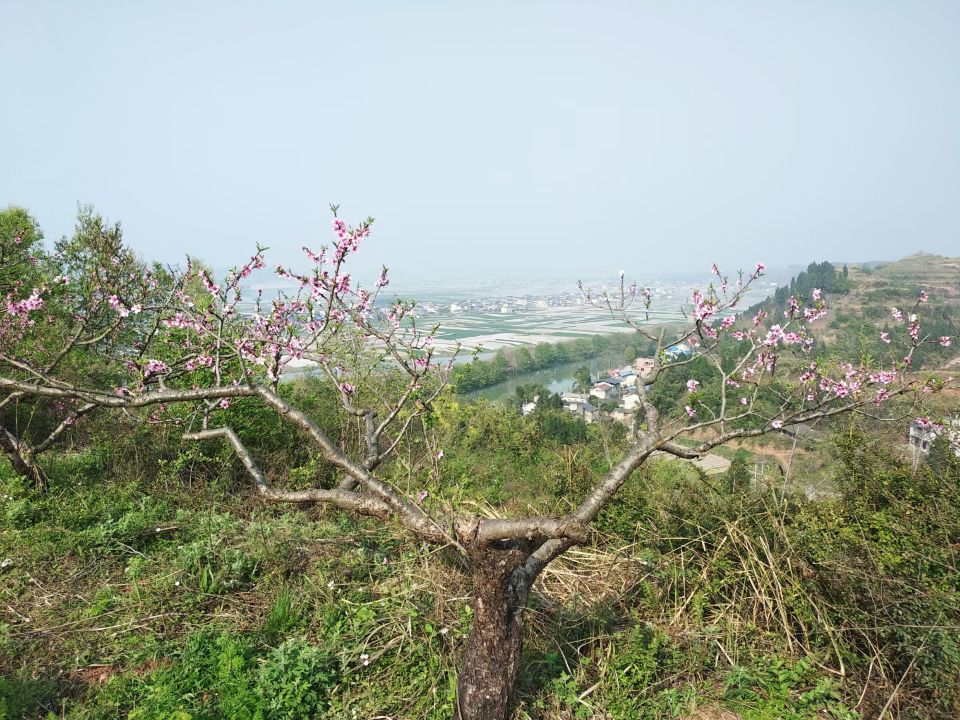 甘当孩子们向上攀登的阶梯