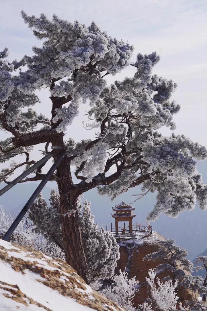 华山雾凇奇观在哪里,高空缆车赏雾凇