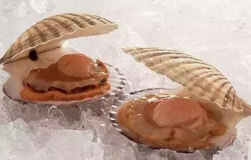 海鲜不能吃的部位,科普海鲜哪个地方不能吃