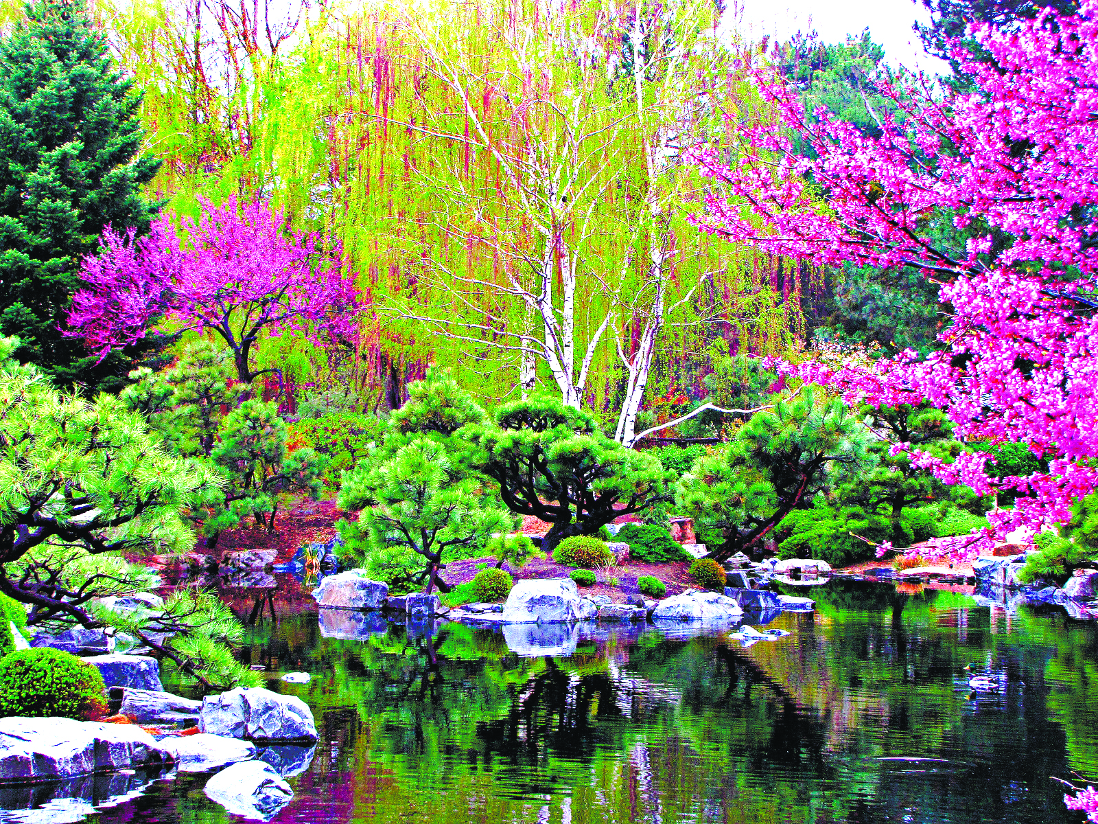 园林植物常见的几种配置方式,园林植物搭配技巧大全