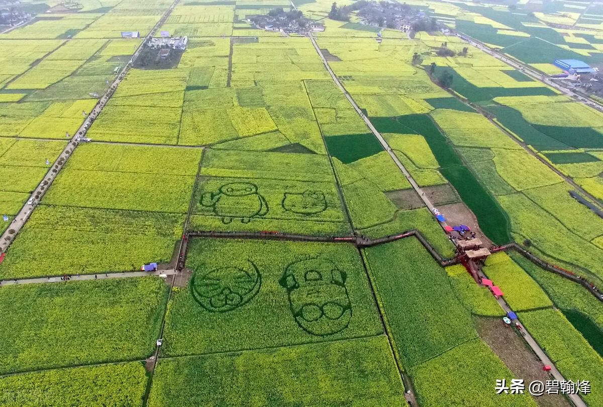 村社区干部选举可以异地任职吗,村级干部能在农村任职吗