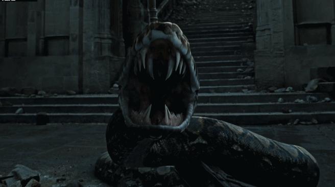 为什么哈利波特没有和赫敏在一起,为什么希望哈利波特和赫敏在一起