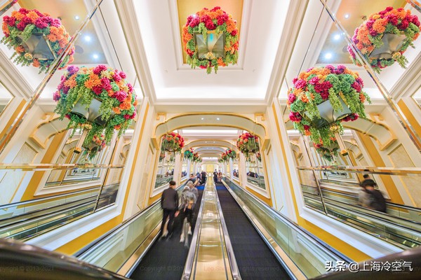 澳门超豪华酒店房间视频,澳门高端大气酒店吃一顿多少钱