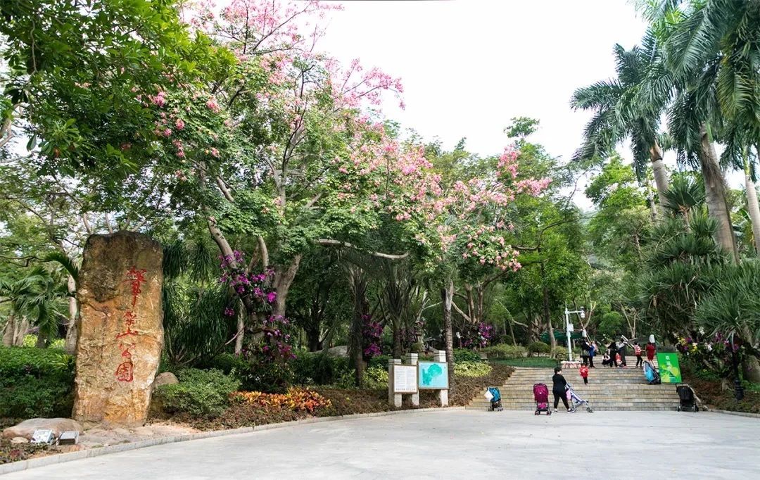 去深圳免费游玩的10个地方,深圳免费游玩景点推荐