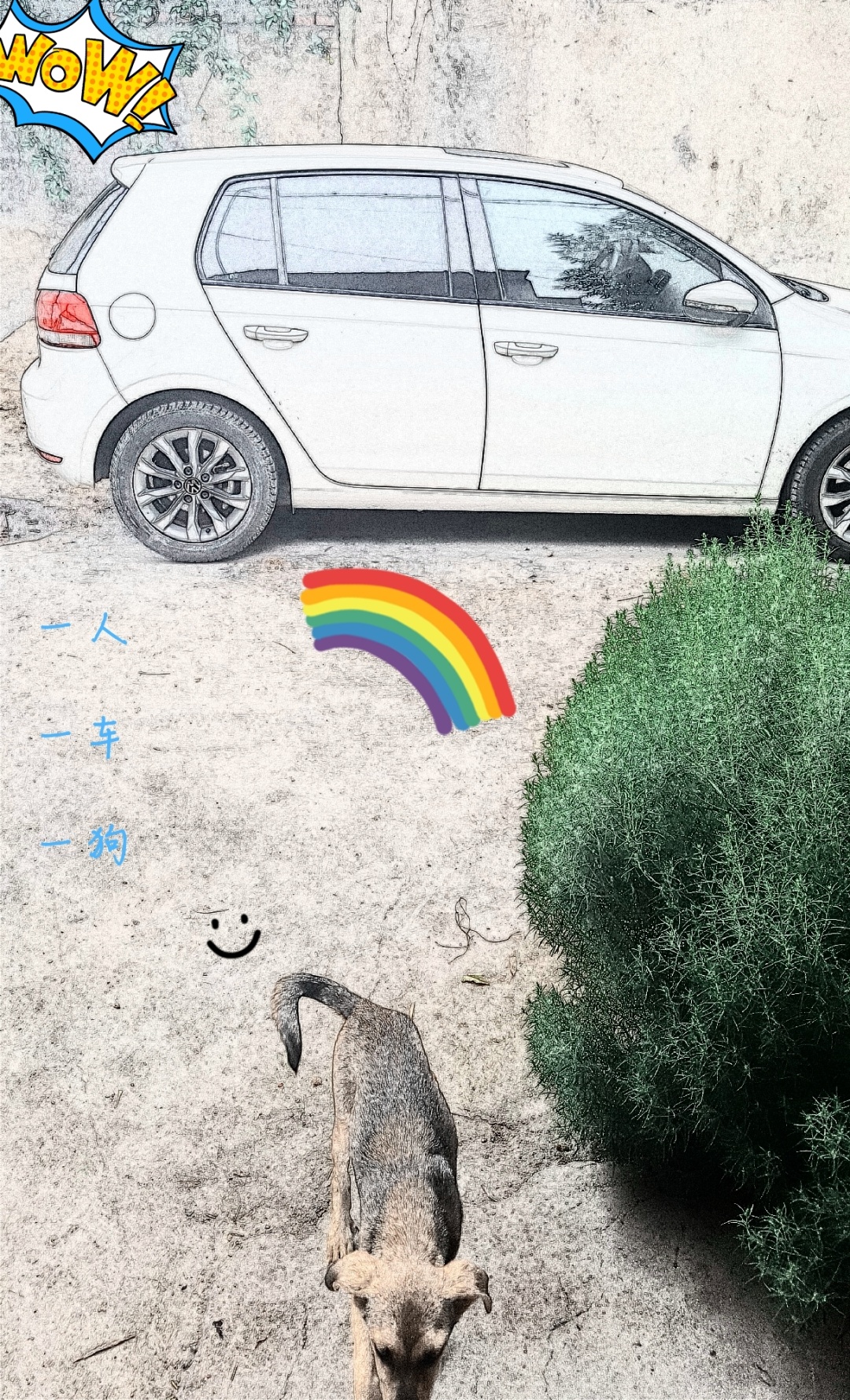 山东诺粉想买顶配日系中级车，却喜提丐版高尔夫6「诺粉来稿」