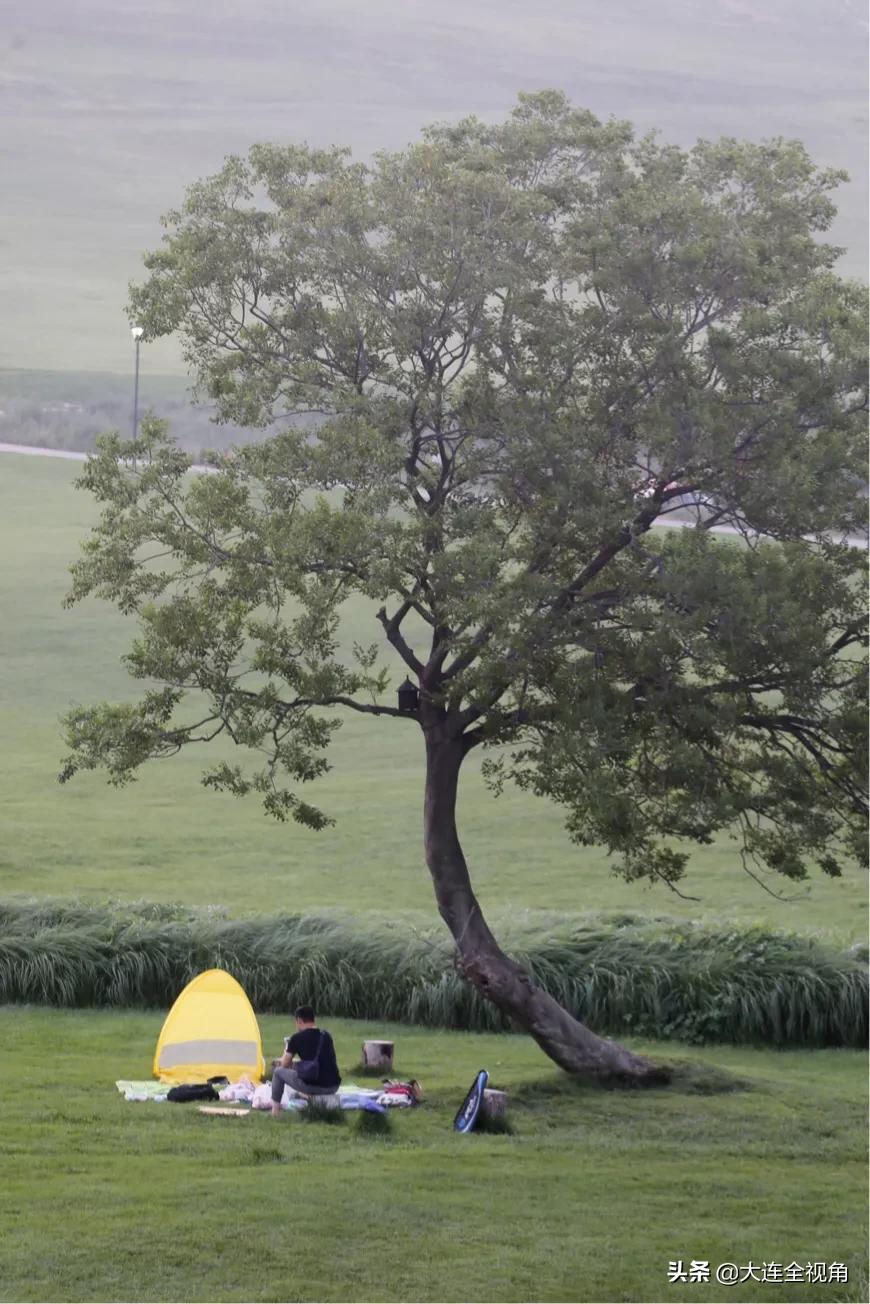 大连三观寰牧场坐车攻略,大连三寰牧场草原视频