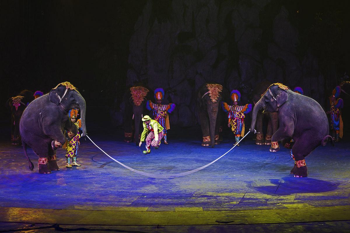 京轩溜娃指南｜暑假带娃去哪儿玩？入坑长隆那是必须滴~